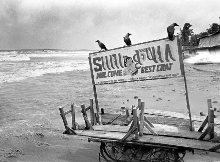 Framed Print : Crows Juhu beach, India Framed Print : Crows Juhu beach, India