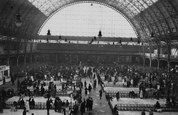 Crufts Dog Show at the Royal Agricultural Hall, London