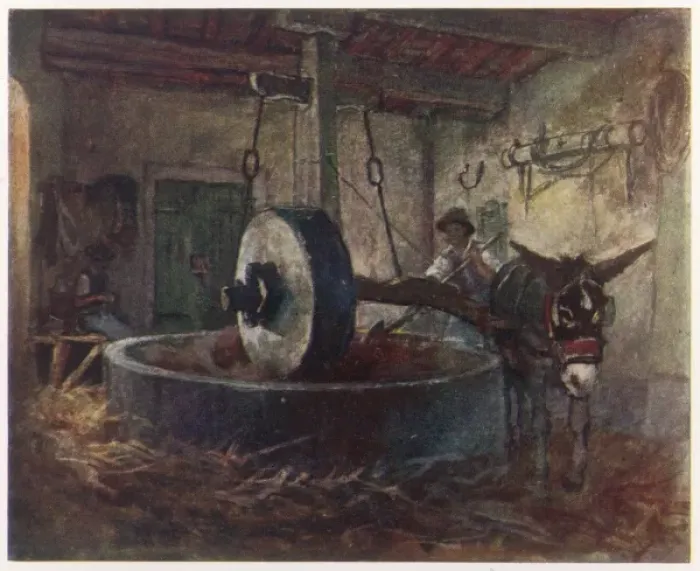 Framed Print : Crushing Olives, Tuscany Framed Print : Crushing Olives, Tuscany
