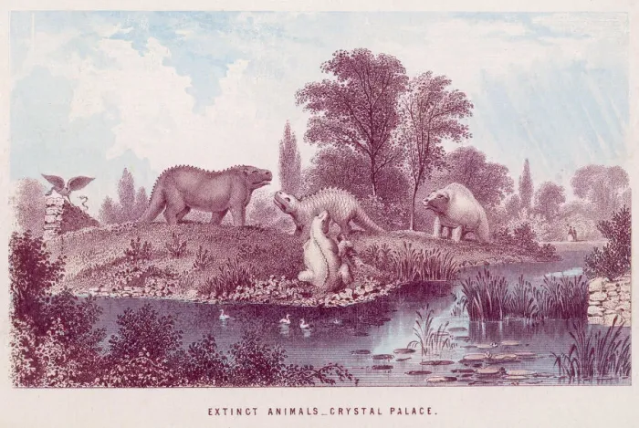 Framed Print : CRYSTAL PALACE ANIMALS Framed Print : CRYSTAL PALACE ANIMALS