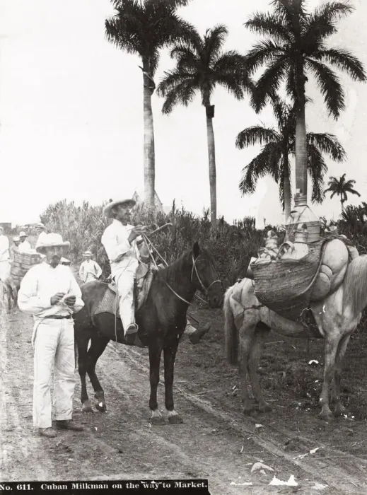 Framed Print : Cuba: Cuban milkman on the way to market Framed Print : Cuba: Cuban milkman on the way to market