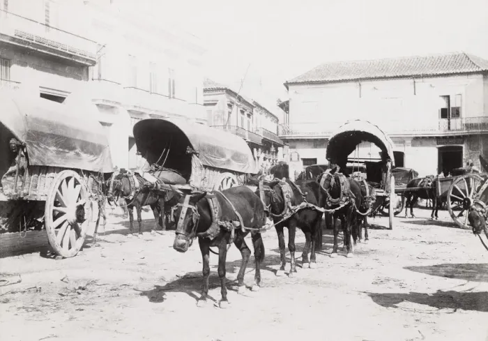 Framed Print : Cuba: horses and carts, Havana Framed Print : Cuba: horses and carts, Havana