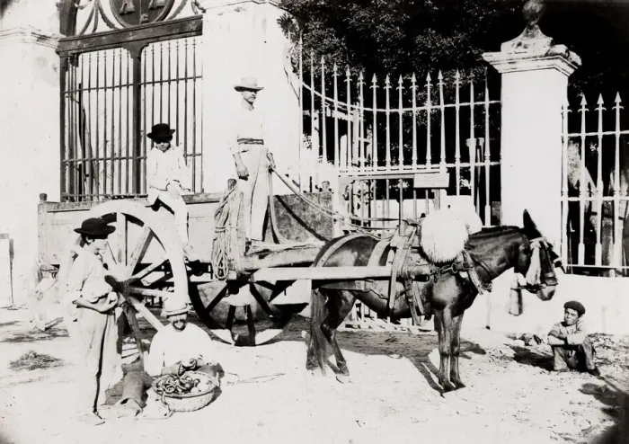 Framed Print : Cuba: mule cart and rvier Framed Print : Cuba: mule cart and rvier