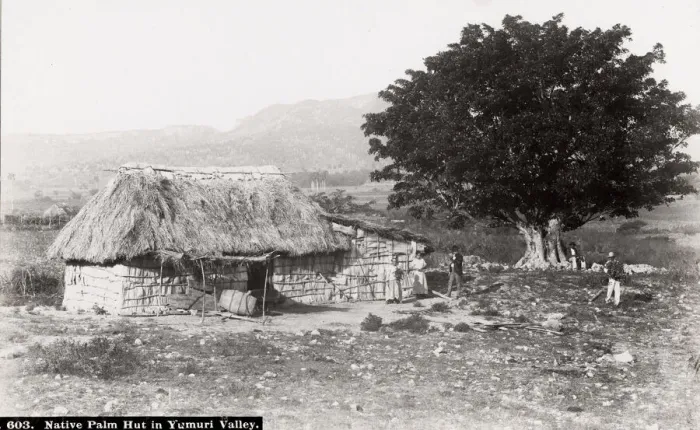 Framed Print : Cuba: Native palm hut in Yumuri Valley Framed Print : Cuba: Native palm hut in Yumuri Valley