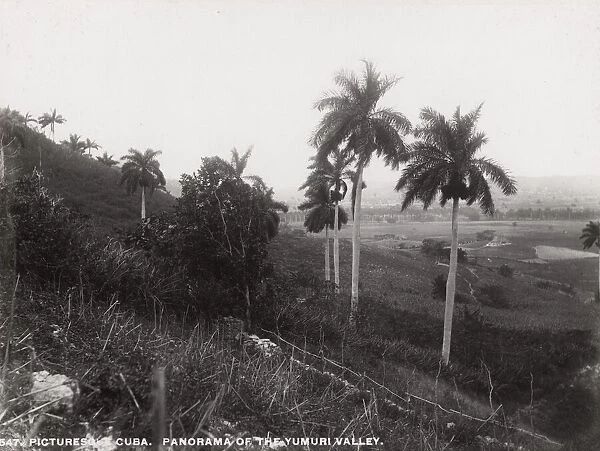 Cuba: panorama of the Yumuru Valley