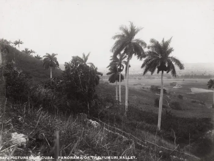 Framed Print : Cuba: panorama of the Yumuru Valley Framed Print : Cuba: panorama of the Yumuru Valley