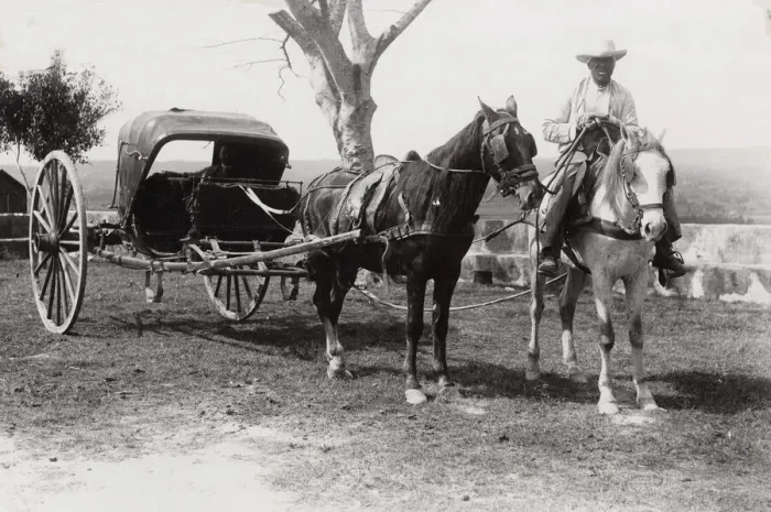 Framed Print : Cuba: volante, horse and carriage Framed Print : Cuba: volante, horse and carriage