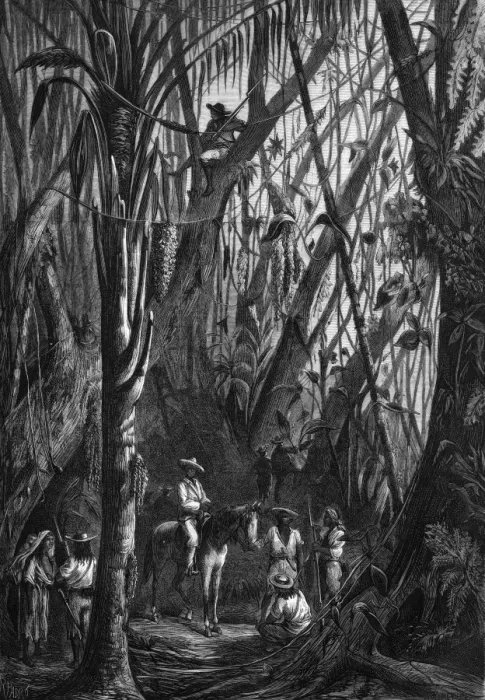 Framed Print : Cuban Rebels Framed Print : Cuban Rebels