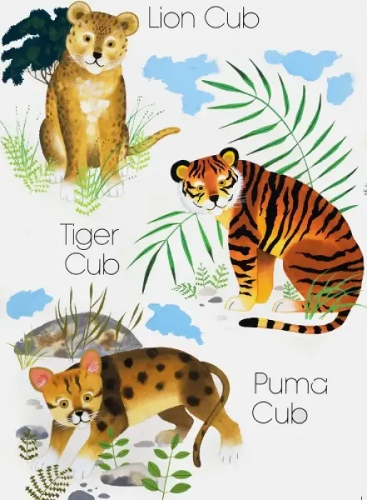 Framed Print : Cubs of Big Cats Framed Print : Cubs of Big Cats