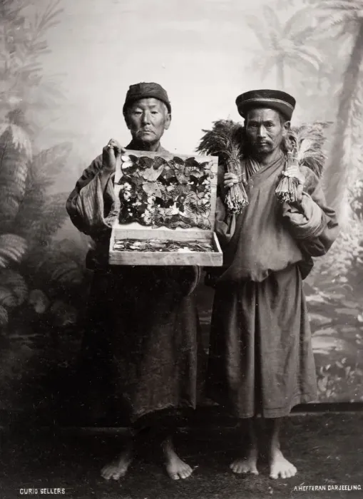 Framed Print : Curio sellers, probably Tibetan, northern Inida Framed Print : Curio sellers, probably Tibetan, northern Inida