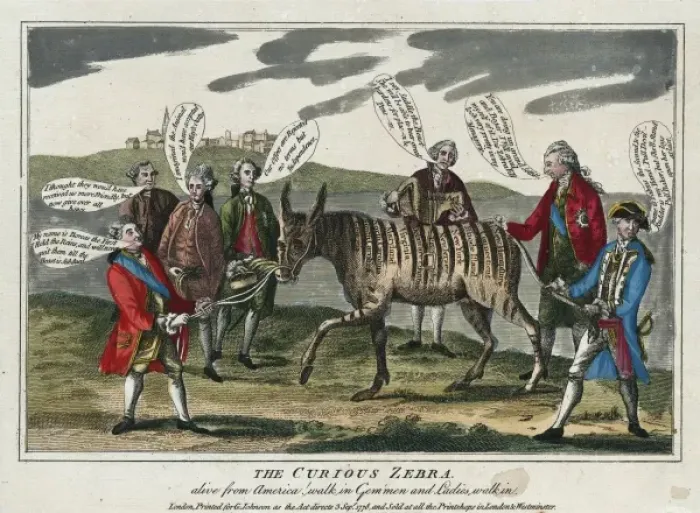 Framed Print : The curious zebra - alive from America! walk in gem men Framed Print : The curious zebra - alive from America! walk in gem men