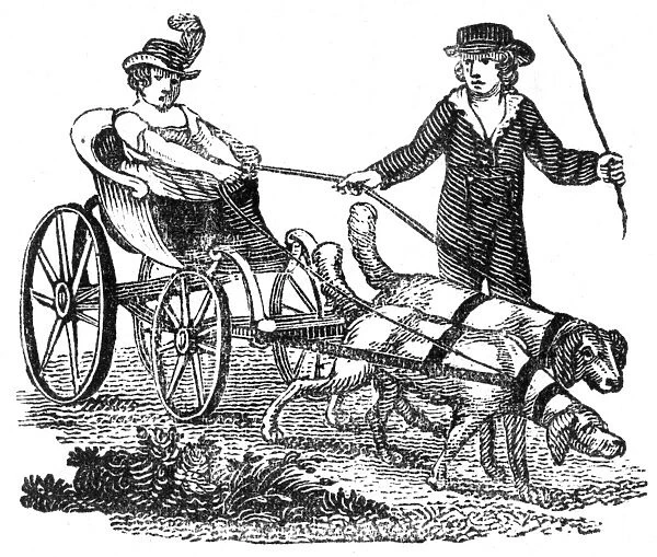 Curricle dog-cart, c. 1800