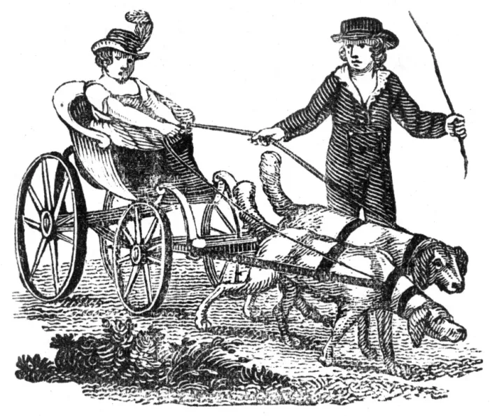 Framed Print : Curricle dog-cart, c. 1800 Framed Print : Curricle dog-cart, c. 1800