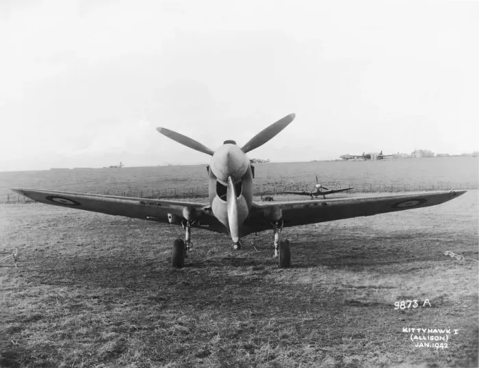 Framed Print : Curtiss P-40 Warhawk Framed Print : Curtiss P-40 Warhawk