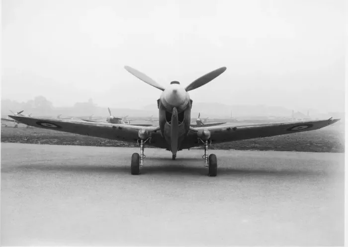 Framed Print : Curtiss P-40 Warhawk Framed Print : Curtiss P-40 Warhawk