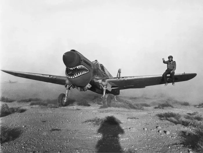 Framed Print : Curtiss P-40 Warhawk Framed Print : Curtiss P-40 Warhawk