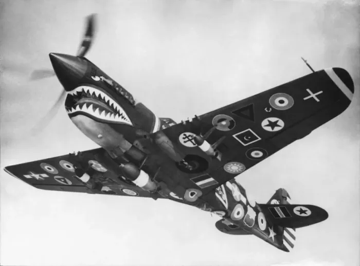 Framed Print : Curtiss P-40 Warhawk Framed Print : Curtiss P-40 Warhawk