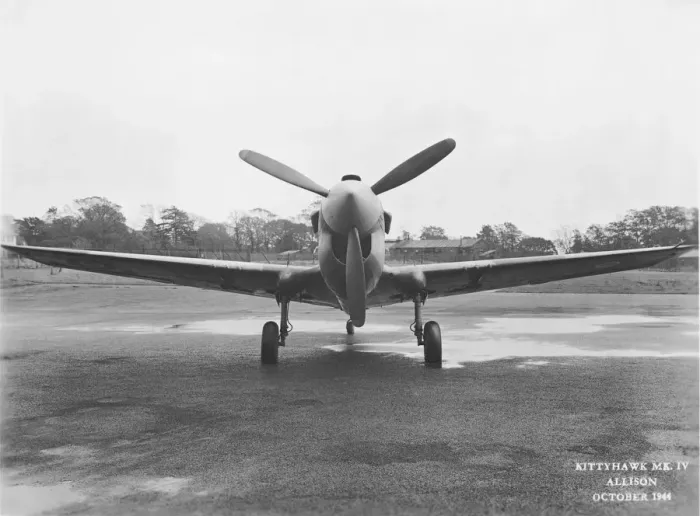 Framed Print : Curtiss P-40 Warhawk Framed Print : Curtiss P-40 Warhawk