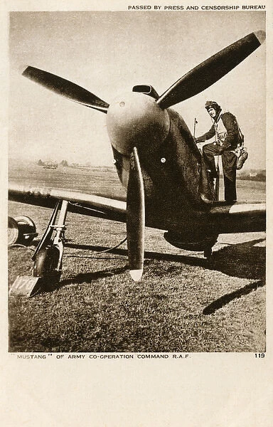 Curtiss P40 Warhawk Fighter Aircraft - WWII
