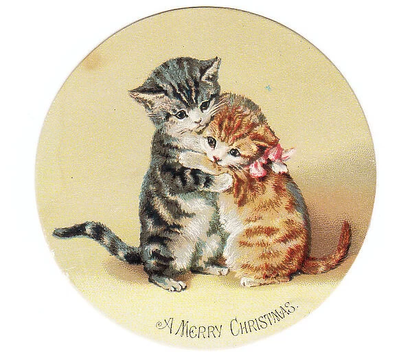 Two cute kittens on a circular Christmas card
