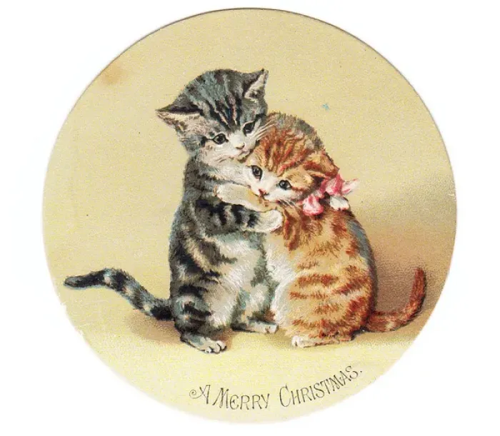 Framed Print : Two cute kittens on a circular Christmas card Framed Print : Two cute kittens on a circular Christmas card