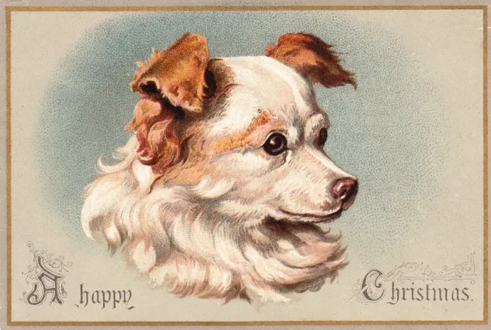Framed Print : Cute little dog on a Christmas card Framed Print : Cute little dog on a Christmas card