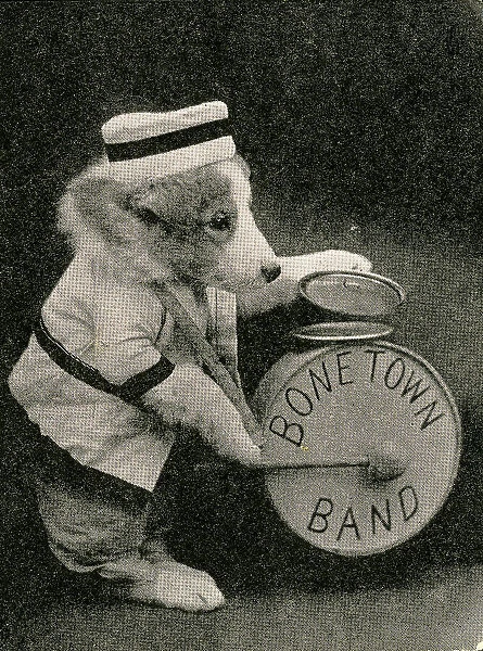 Cute Puppies: Bone Town Band