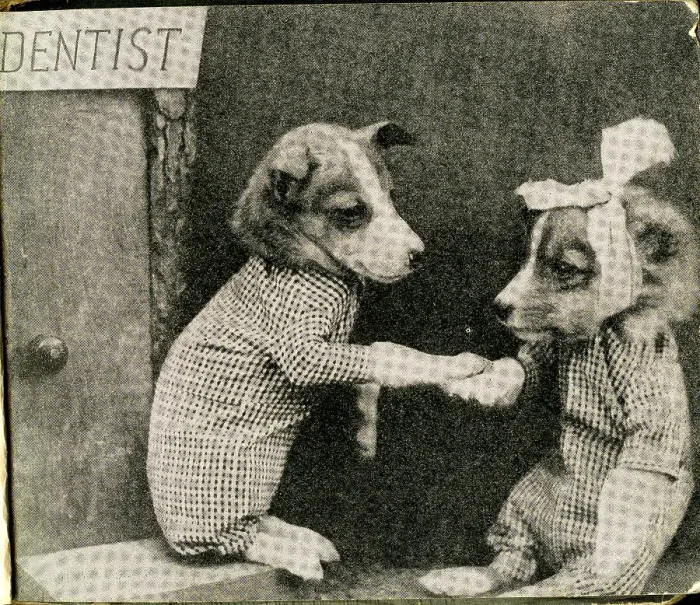 Framed Print : Cute Puppies: Dentist Framed Print : Cute Puppies: Dentist