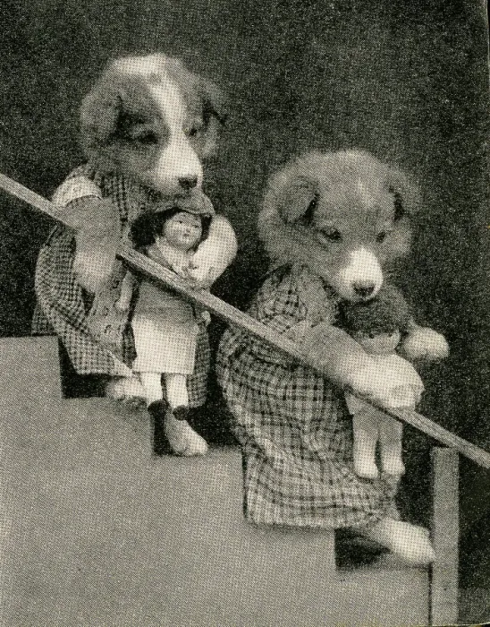 Framed Print : Cute Puppies: With Dolls Framed Print : Cute Puppies: With Dolls