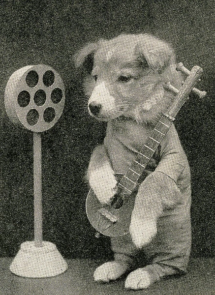 Cute Puppies: Playing To The Microphone