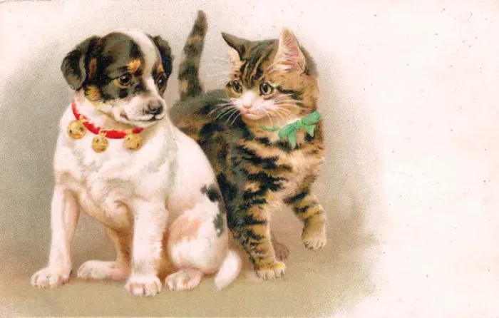 Framed Print : Cute puppy and kitten on a greetings postcard Framed Print : Cute puppy and kitten on a greetings postcard