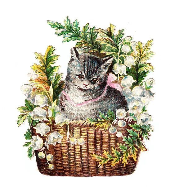 Cute tabby cat in a basket of flowers on a Victorian scrap