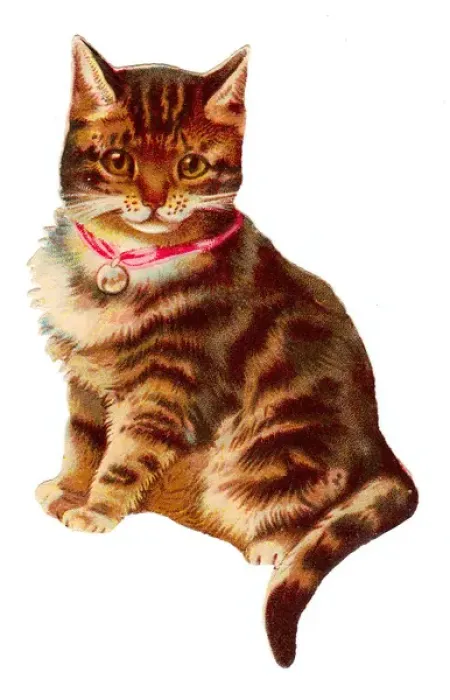 Framed Print : Cute tabby cat on a Victorian scrap Framed Print : Cute tabby cat on a Victorian scrap