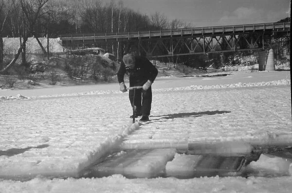 Cutting ice on the Ottaqueechee River, Coos County, New Hamp