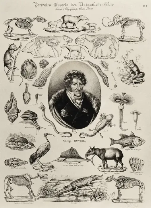 Framed Print : CUVIER, Georges (1769-1832). French zoologist Framed Print : CUVIER, Georges (1769-1832). French zoologist