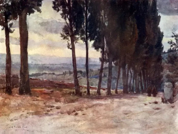 Framed Print : Cypress Avenue on the old road to Fiesole, Italy Framed Print : Cypress Avenue on the old road to Fiesole, Italy