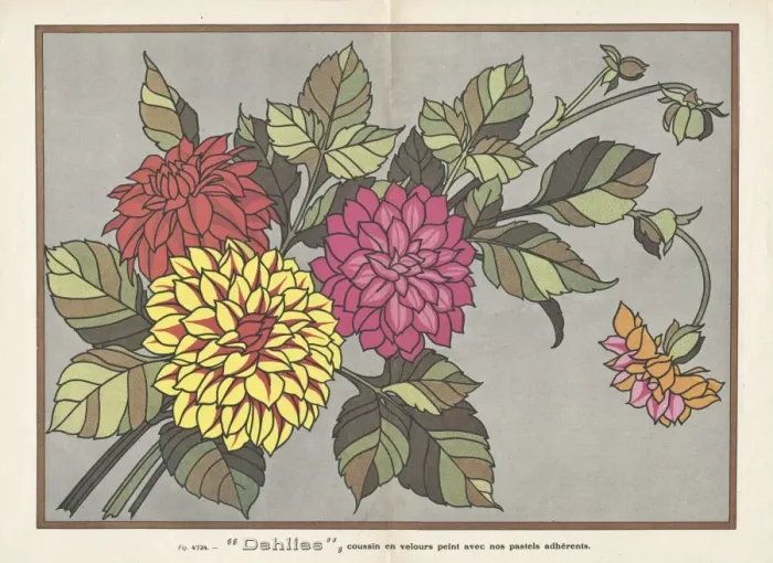 Framed Print : Dahlias, insert illustration in L Artisan Pratique Framed Print : Dahlias, insert illustration in L Artisan Pratique