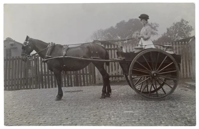 Framed Print : Dairy Woman in Her Cart Framed Print : Dairy Woman in Her Cart