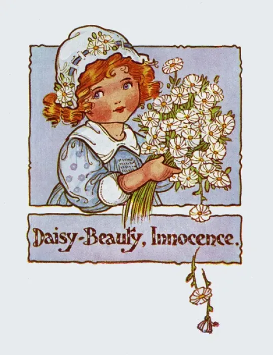 Framed Print : Daisy Beauty Innocence Framed Print : Daisy Beauty Innocence
