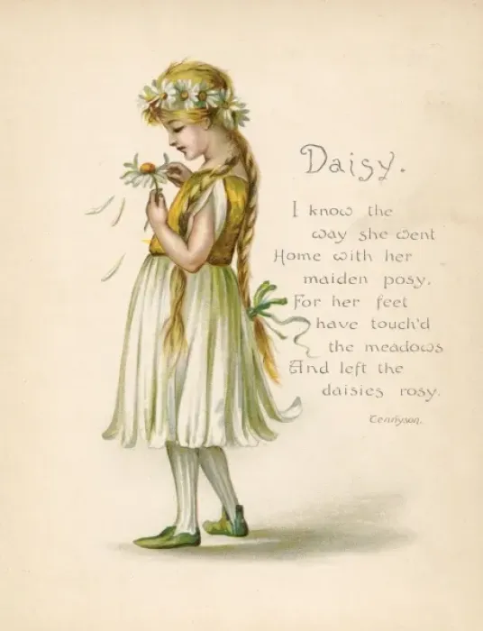Framed Print : Daisy / Language of Flowers Framed Print : Daisy / Language of Flowers