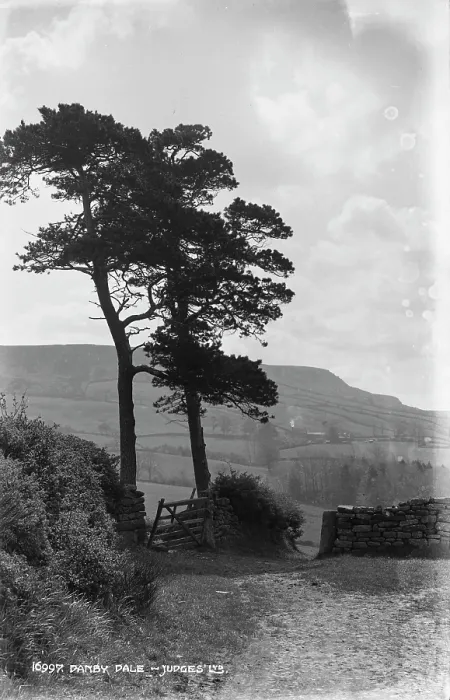 Framed Print : Danby Dale - Judges LB Framed Print : Danby Dale - Judges LB
