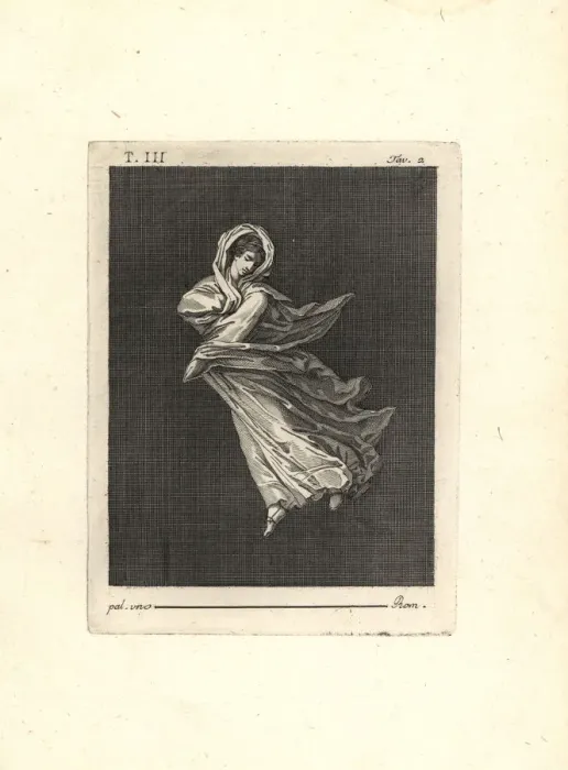 Framed Print : Dancer in a long transparent dress Framed Print : Dancer in a long transparent dress