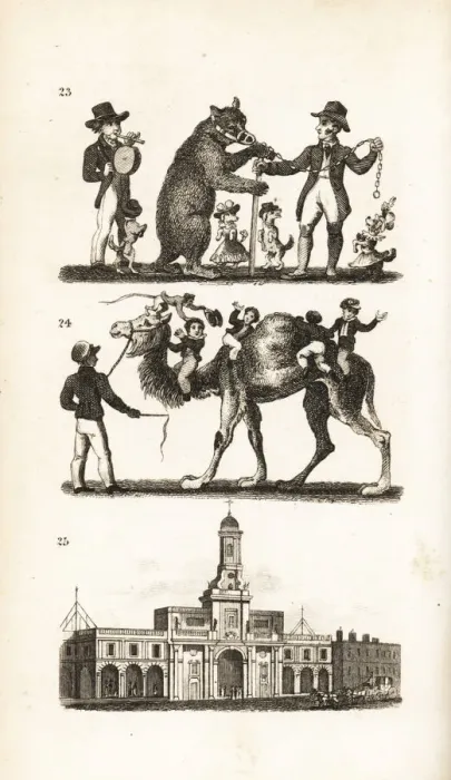 Framed Print : Dancing Bear and Dog, Camel and Monkey Framed Print : Dancing Bear and Dog, Camel and Monkey