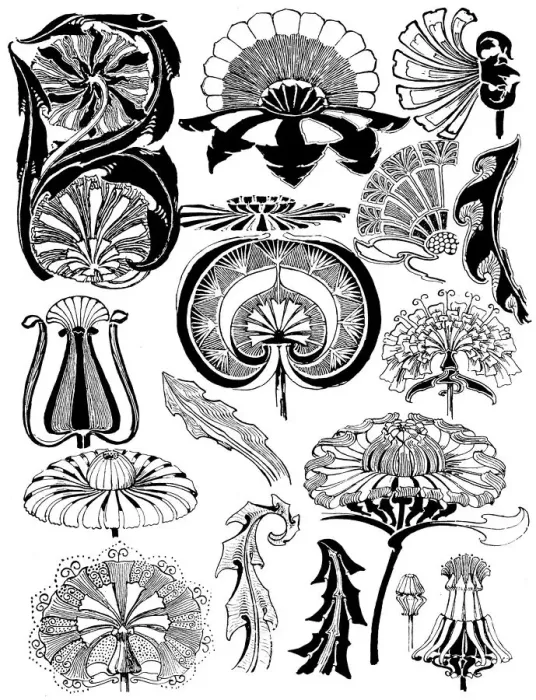 Framed Print : Dandelion. Studies in plant form with suggestions for their application to design Framed Print : Dandelion. Studies in plant form with suggestions for their application to design