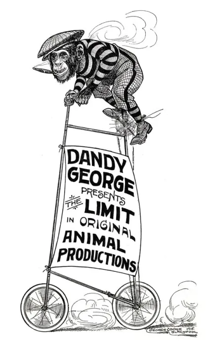 Framed Print : Dandy George presents The Limit in Original Animal Productions, Bedford Music Hall Framed Print : Dandy George presents The Limit in Original Animal Productions, Bedford Music Hall