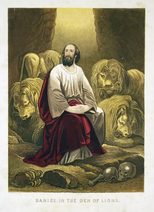 Framed Print : Daniel in the lions den Very docile lions Colour Framed Print : Daniel in the lions den Very docile lions Colour