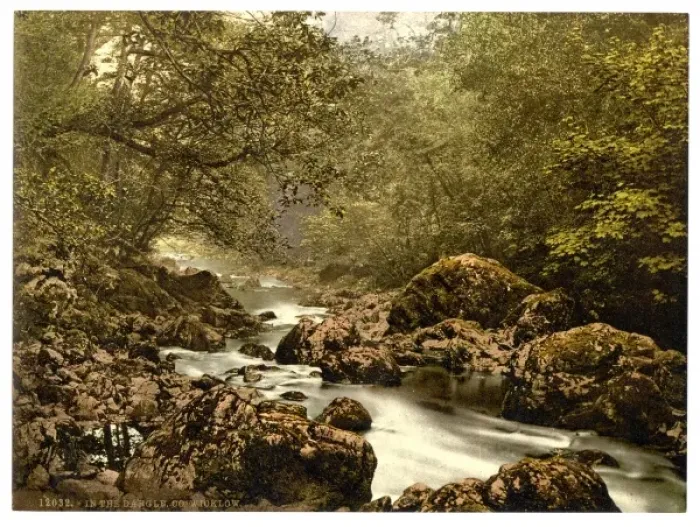 Framed Print : In the Dargle. County Wicklow, Ireland Framed Print : In the Dargle. County Wicklow, Ireland
