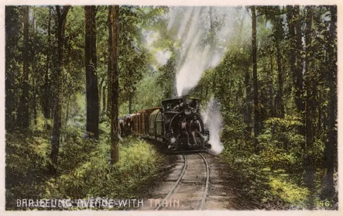 Framed Print : Darjeeling Avenue with Train Framed Print : Darjeeling Avenue with Train