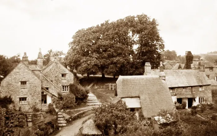 Framed Print : Dartington Framed Print : Dartington