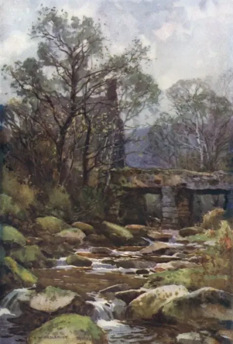 Framed Print : Dartmoor - Ockery Bridge